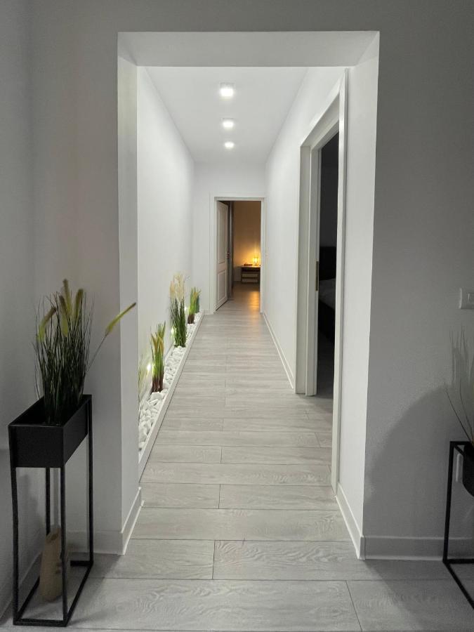 Oxana Apartments - 3 Camere - Timişoara Exterior foto