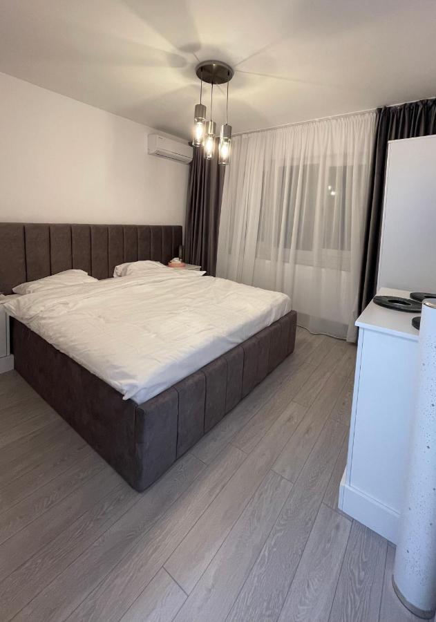 Oxana Apartments - 3 Camere - Timişoara Exterior foto